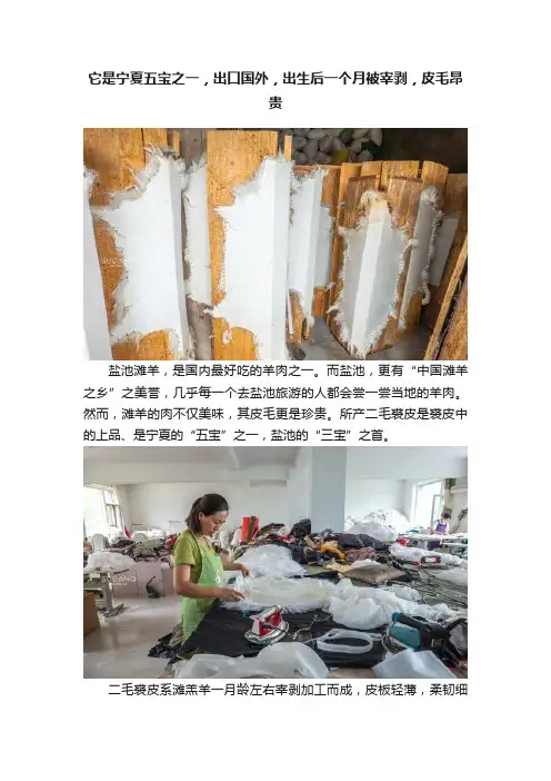 它是宁夏五宝之一，出口国外，出生后一个月被宰剥，皮毛昂贵