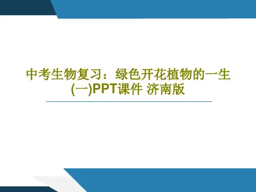 中考生物复习：绿色开花植物的一生(一)PPT课件 济南版共31页