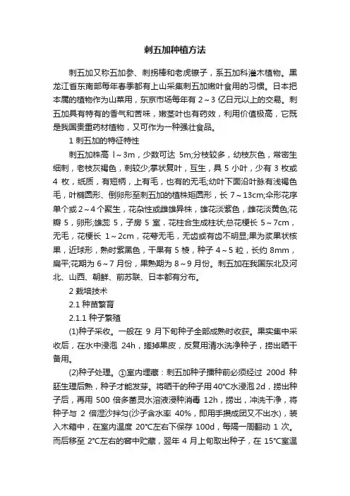 刺五加种植方法