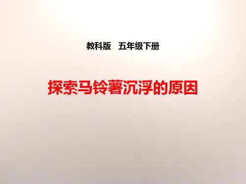 教科版五年级下册科学《探索马铃薯沉浮的原因》沉和浮说课教学课件