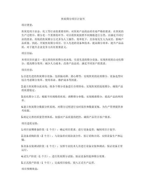 焦炭筛分项目计划书