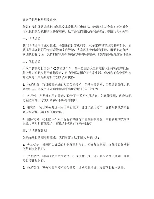 挑战杯申请书团队协作模板