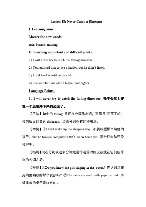 冀教版英语九年级全册Unit 3 Lesson 18 Never Catch a Dinosaur
