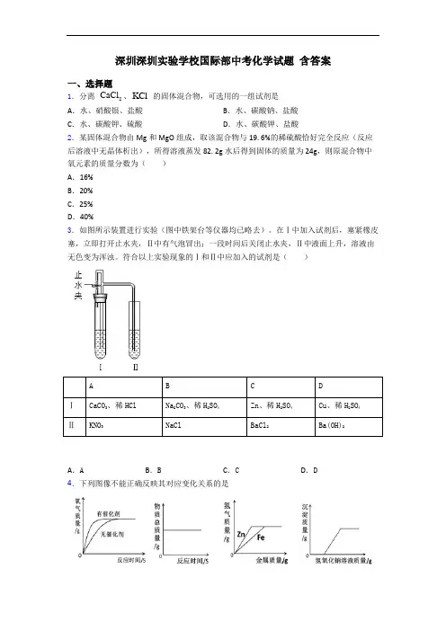 深圳深圳实验学校国际部中考化学试题 含答案