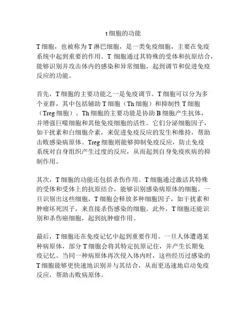 t细胞的功能