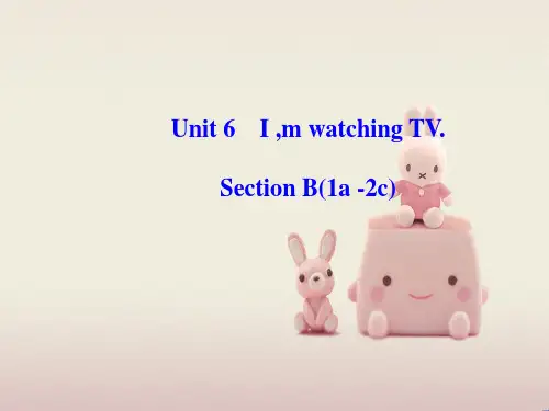 公开课获奖《Unit 6 I’m watching TV Section B(1a-2c)课件