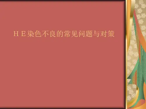 HE染色不良的常见问题与对策