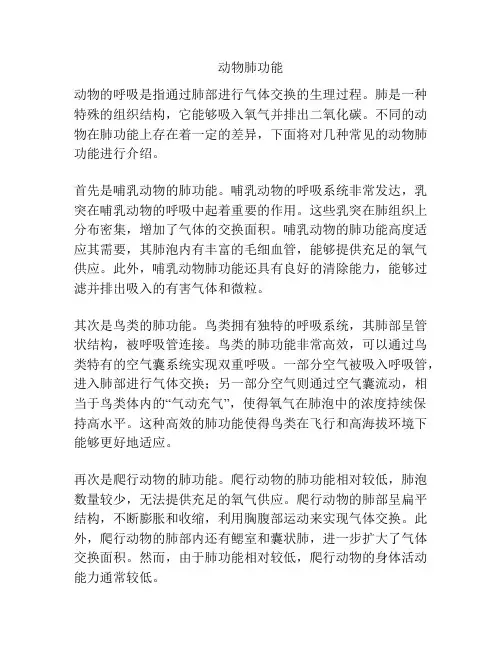 动物肺功能