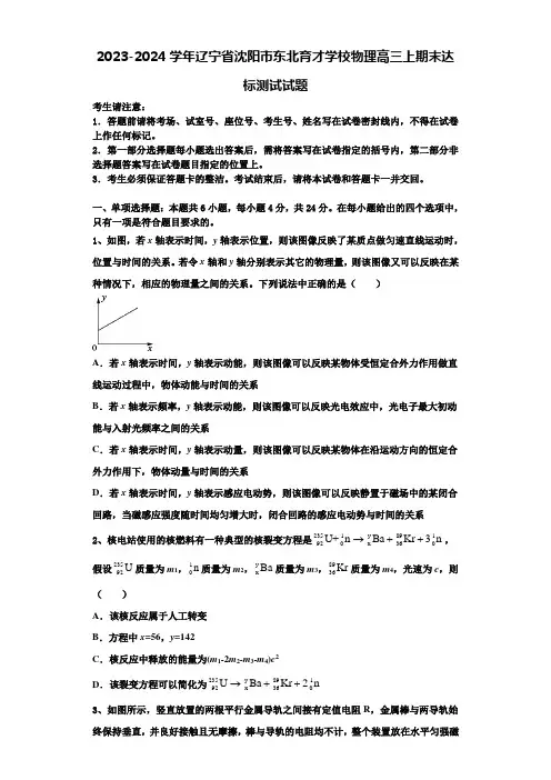 2023-2024学年辽宁省沈阳市东北育才学校物理高三上期末达标测试试题含解析