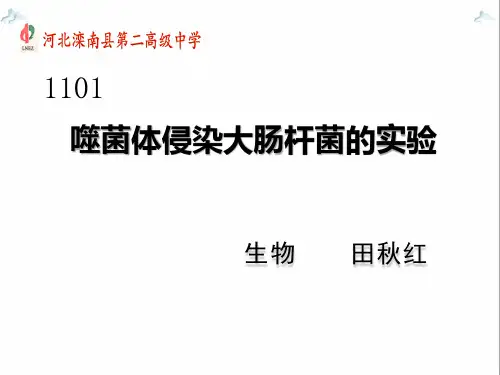 噬菌体侵染大肠细菌的实验