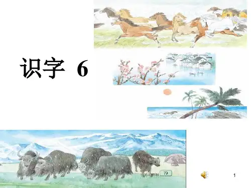 苏教版二年级语文上册识字六PPT课件