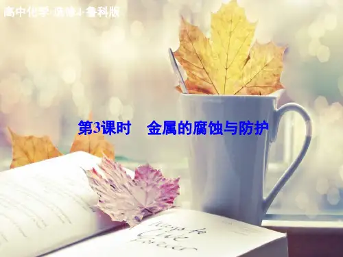 鲁科版金属的腐蚀与防护PPT精品课件