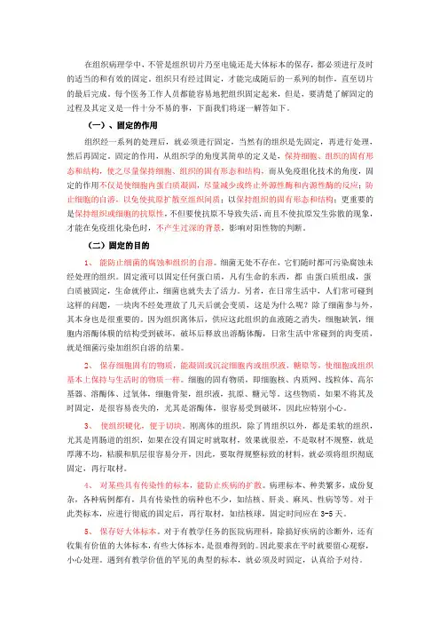 组织固定
