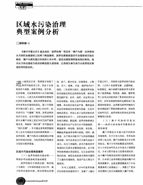 区域水污染治理典型案例分析
