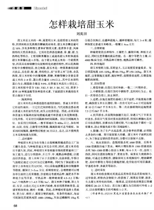 怎样栽培甜玉米