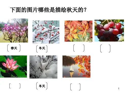 语文人教版二年级上册第一课秋天的图画1PPT课件