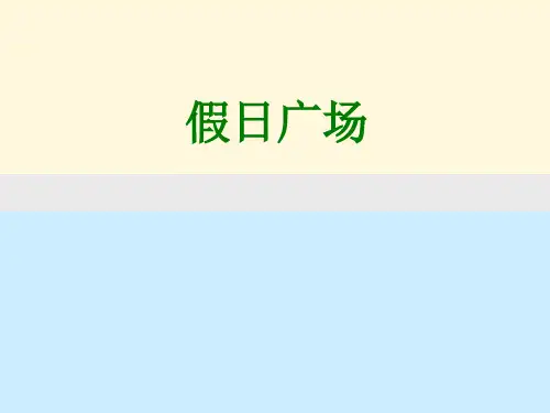 深圳益田假日广场定位及功能布局建议书精品PPT课件