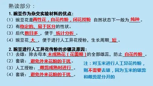 《浪费可耻,节约为荣》 主题班会课件(共27张PPT)