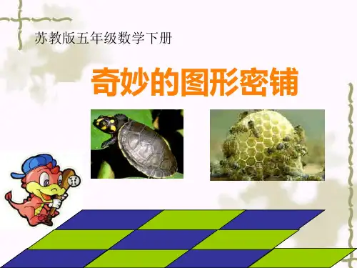 数学五年级下册《奇妙的图形密铺》课件