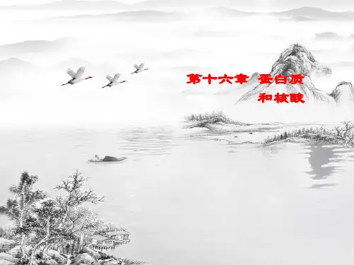 第十六章-蛋白质和核酸pptppt课件(全)