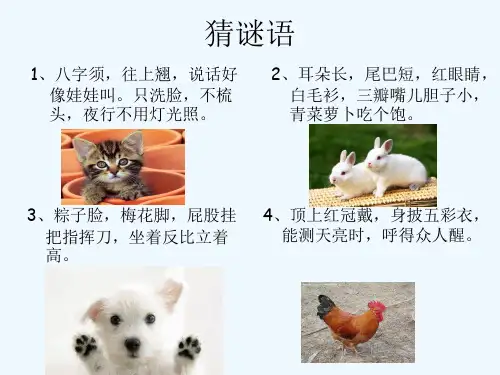 四年级作文我喜欢的小动物PPT