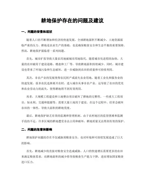 耕地保护存在的问题及建议