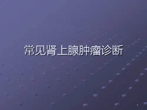 常见肾上腺肿瘤诊断PPT课件