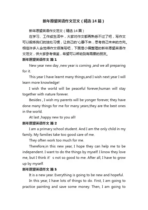 新年愿望英语作文范文（精选14篇）