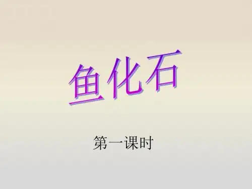 鱼化石(优质课件1)七年级语文下册