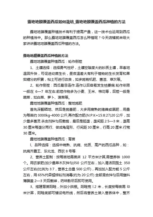 露地地膜覆盖西瓜如何栽培_露地地膜覆盖西瓜种植的方法