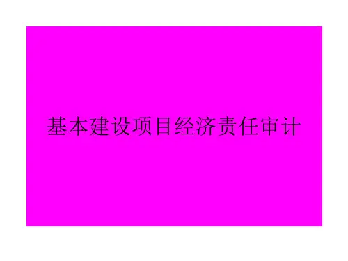 基本建设项目经济责任审计讲义(PPT46页)