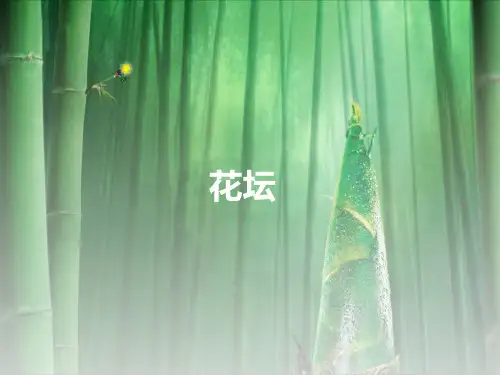 花坛