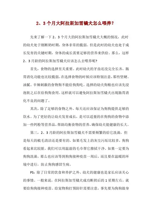 2、3个月大阿拉斯加雪橇犬怎么喂养？