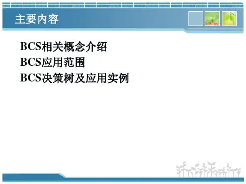生物药剂学分类系统49页PPT文档