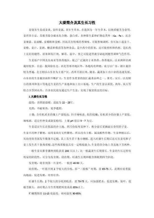 大姜简介及其生长习性