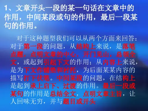 初中现代文阅读 ppt课件