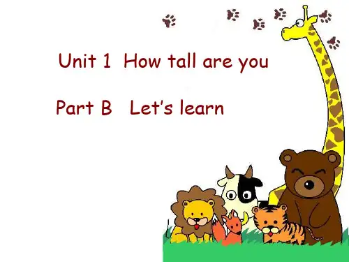 Unit 1  How tall are you？Part B课件-人教PEP版六年级英语下册