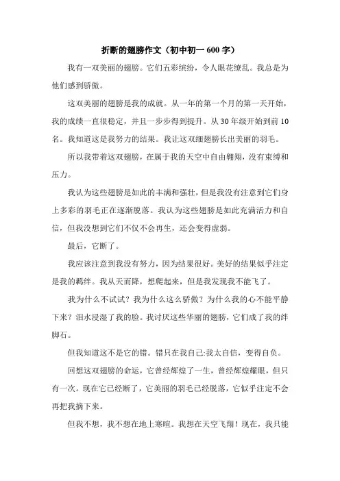折断的翅膀作文(初中初一600字).doc