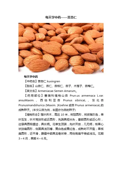 每天学中药——苦杏仁