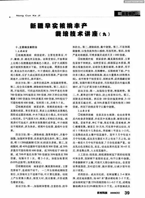新疆早实核桃丰产栽培技术讲座(九)