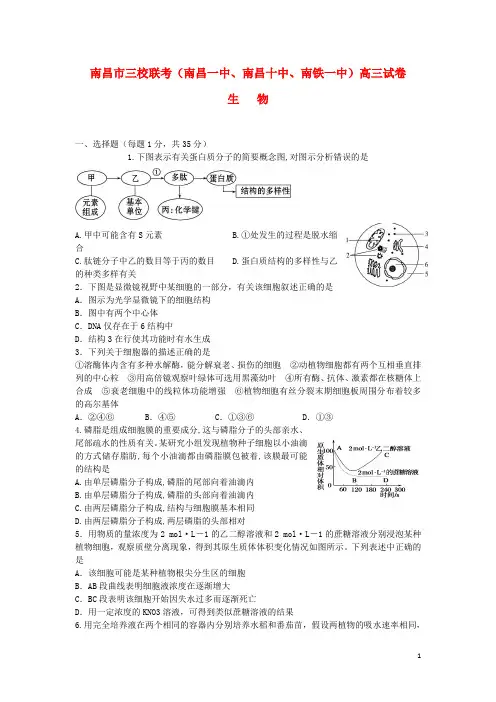 江西省南昌市三校(南昌一中,南昌十中,南铁一中)高三生物10月联考试题