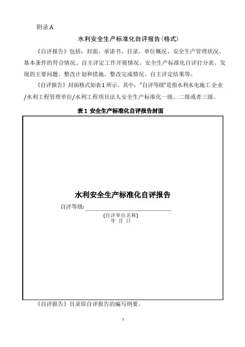 水利安全生产标准化自评报告
