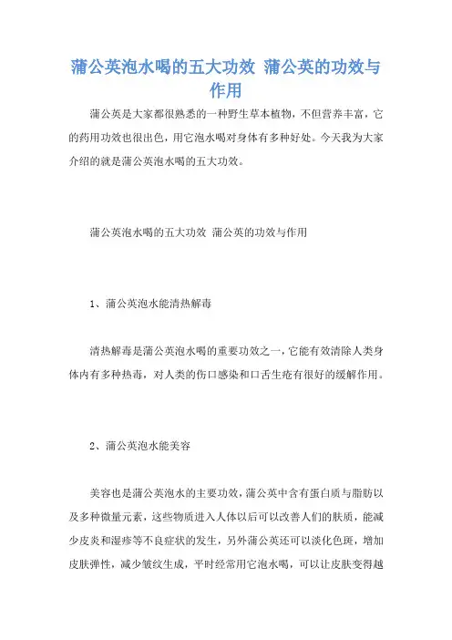 蒲公英泡水喝的五大功效 蒲公英的功效与作用