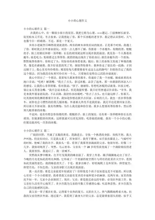小小的心愿作文