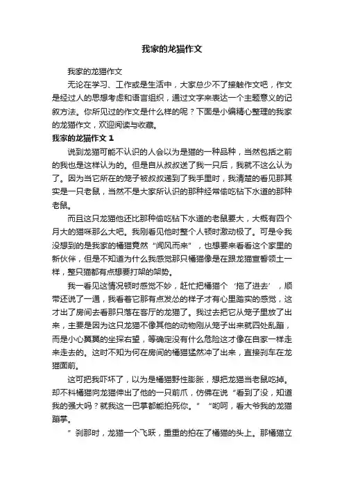 我家的龙猫作文