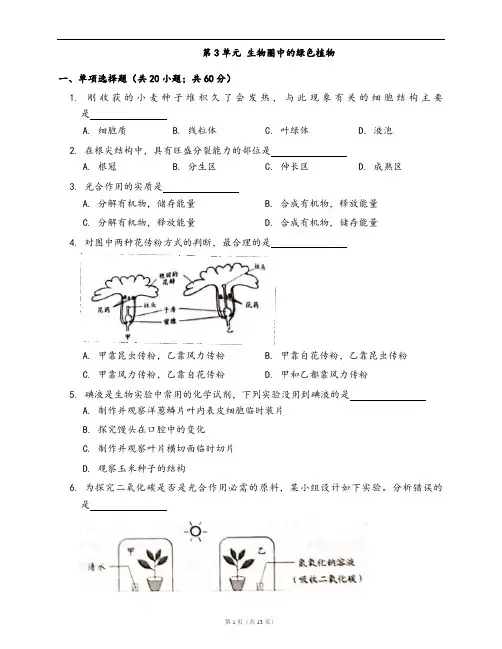 北师大版七年级生物上册单元测试卷第3单元 生物圈中的绿色植物(word版,含答案解析)