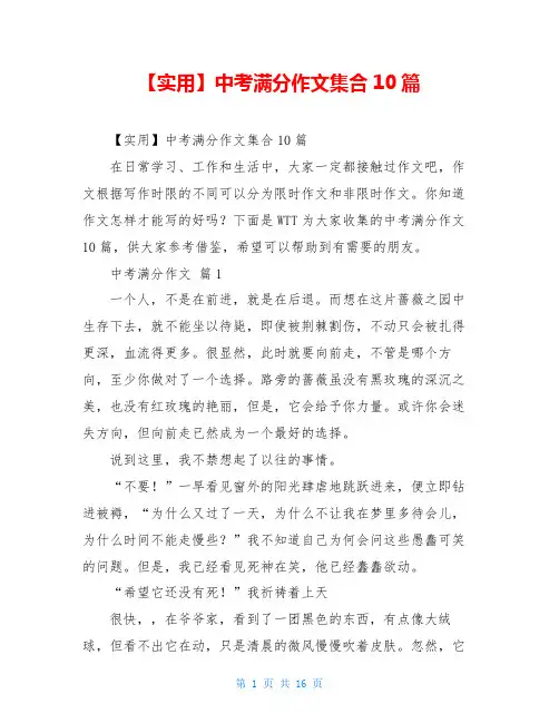 2021年中考满分作文集合10篇