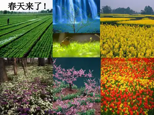 人教版三年级下册语文  2  咏柳、春日PPT课件