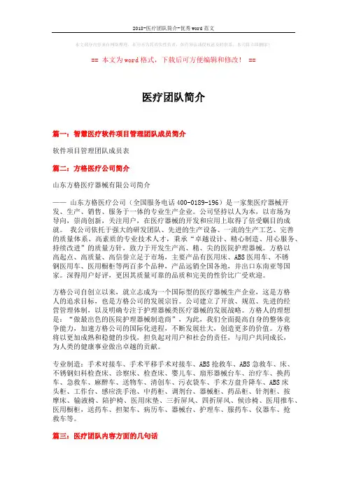 2018-医疗团队简介-优秀word范文 (2页)