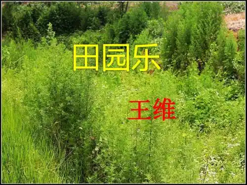 田园乐(其六)